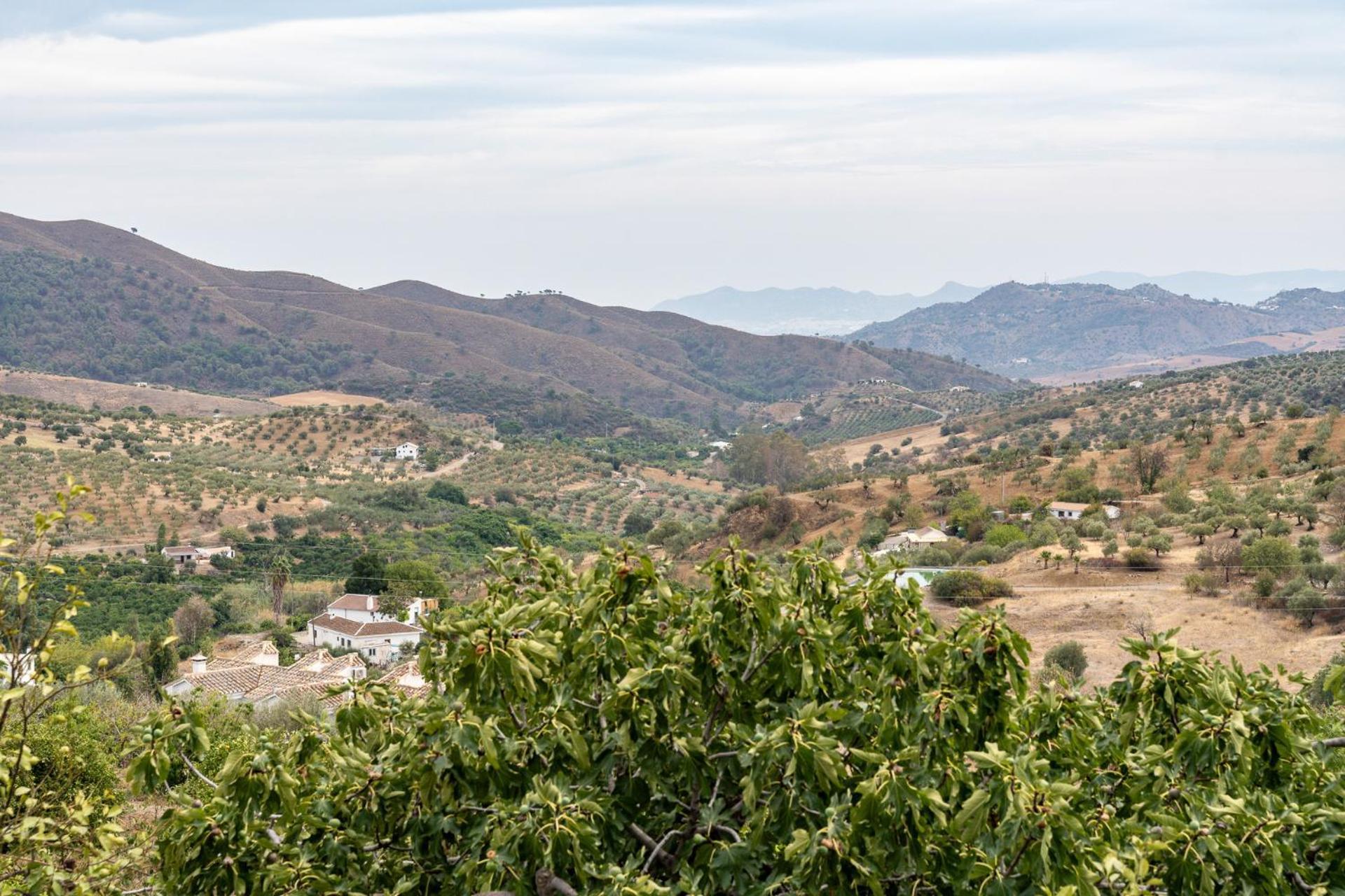 Malagasuite Cortijo Robles Casarabonela Exteriör bild